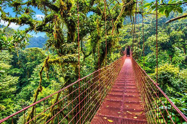 Hängebrücke im üppigen tropischen Regenwald von Costa Rica