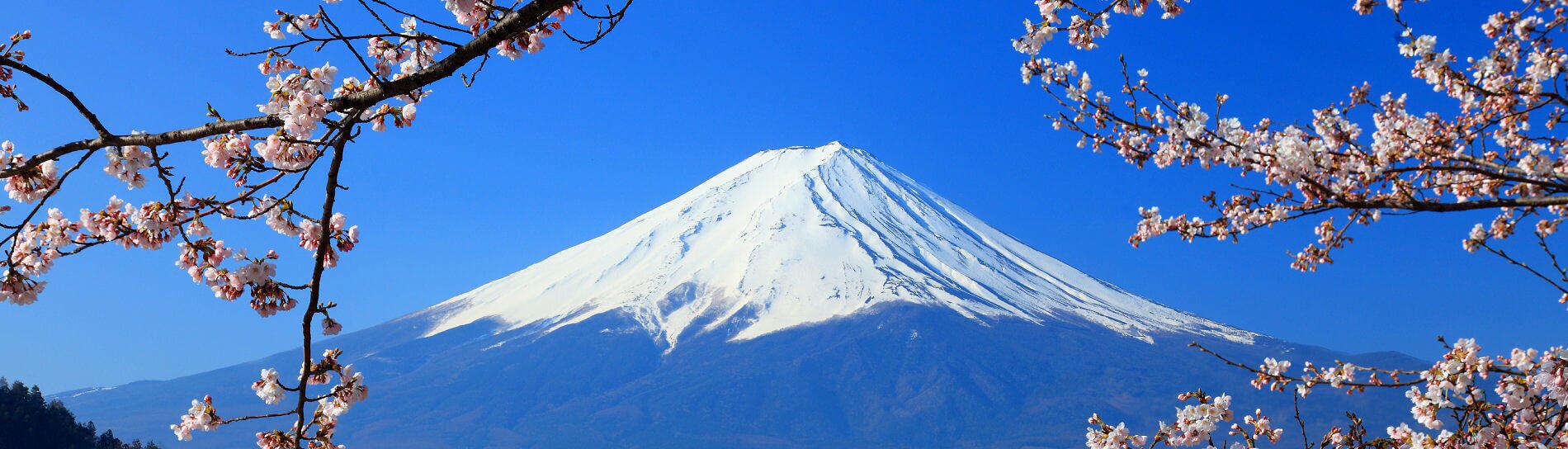 Die Faszination von Japan mit AsiaGo erleben. Reisen durch das Land der aufgehenden Sonne