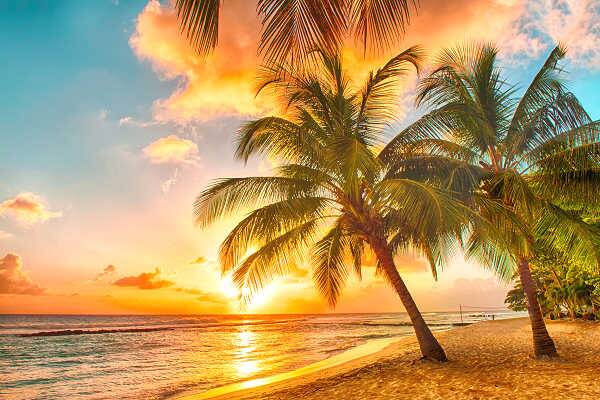 Tropischer Palmenstrand auf Barbados bei Sonnenuntergang am Karibischen Meer