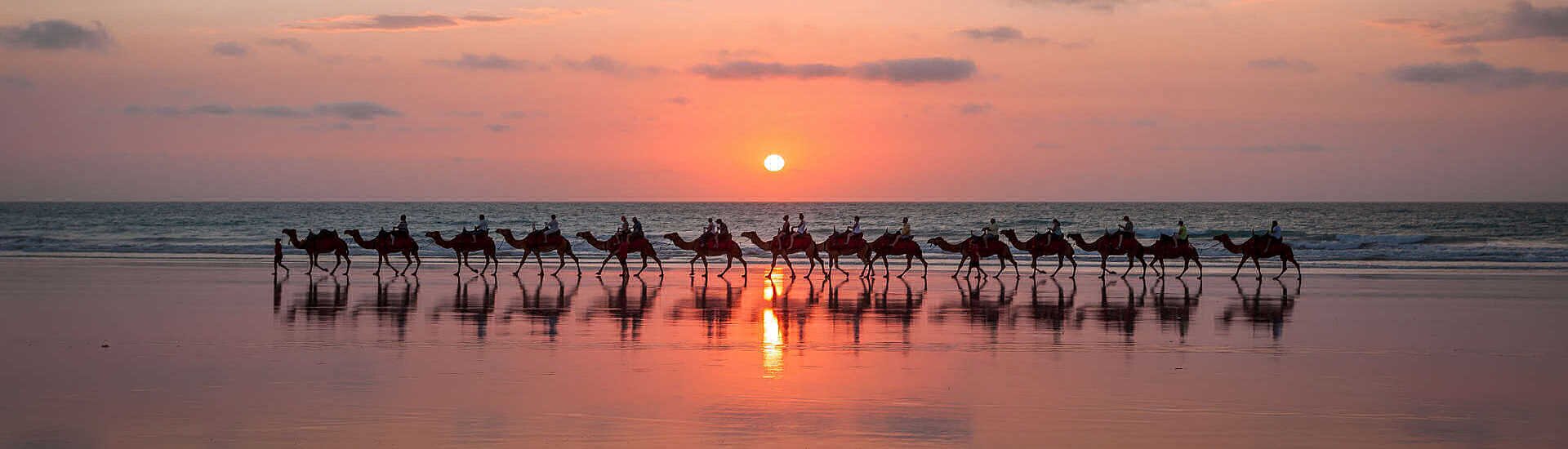 Kamelkarawane am Strand des Oman