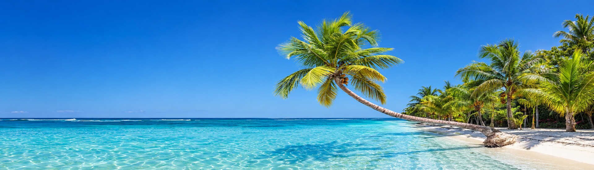 Tropischer Sandstrand mit Palmen und türkisblauem Meer