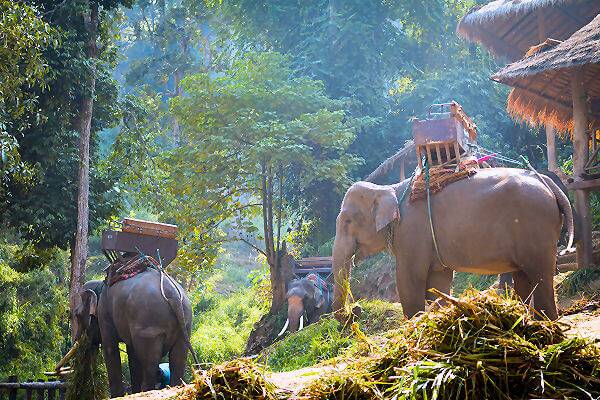 Entdecken Sie die schönsten Reiseziele der Welt