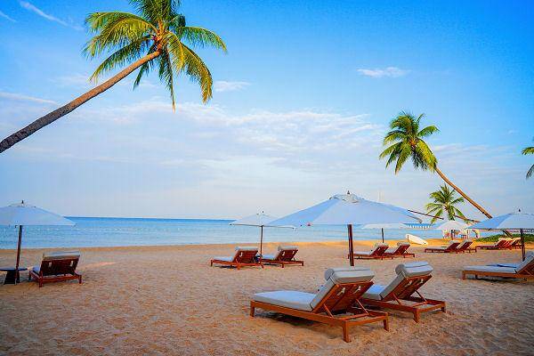 Strandresort in Vietnam mit Palmen, Liegen und Blick auf das Meer
