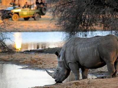 Safari-Reisen in Afrika – Tierwelt hautnah erleben mit AsiaGo Safari-Reisen Afrika – Elefanten, Löwen & Giraffen erleben | AsiaGo
