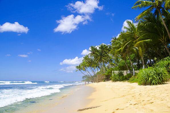 Wir planen Ihren Strand-Urlaub
