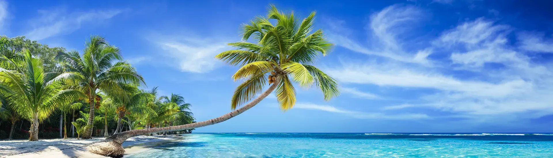 Karibik Reisen – tropischer Strand mit Palmen und türkisfarbenem Meer