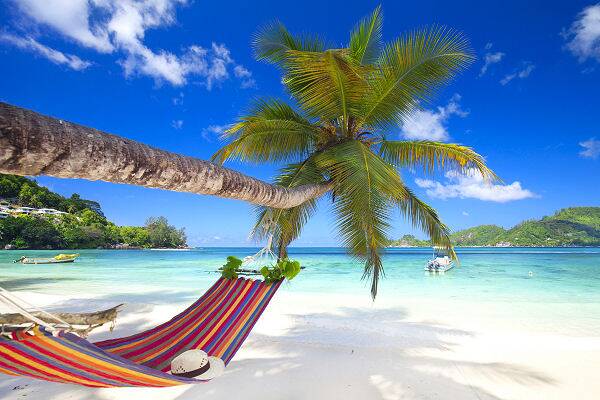 Seychellen Reisepakete mit Strand, Palmen und entspannter Inselatmosphäre