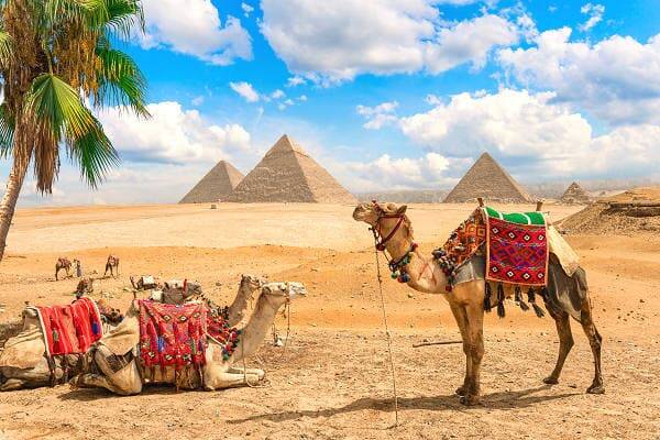 Kamele vor den Pyramiden – Geführte Rundreisen mit AsiaGo
