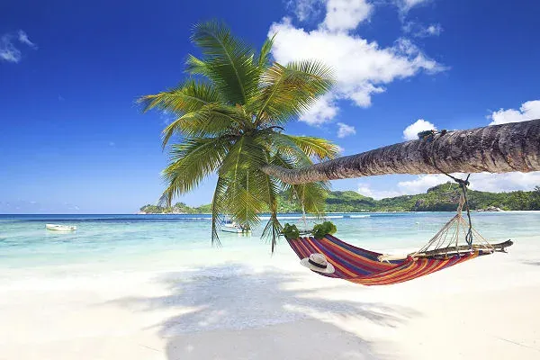 Dubai Seychellen Kombireise – Strand mit Hängematte unter Palme – AsiaGo Bunte Hängematte unter einer Palme an einem weißen Sandstrand auf den Seychellen mit Blick auf das ruhige Meer