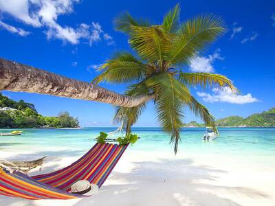 Die schönsten Strände der Seychellen – erleben Sie einen unvergesslichen Urlaub Seychellen Reisen Individuell buchen, hier finden Sie Ihren Traumurlaub auf den Seychellen.