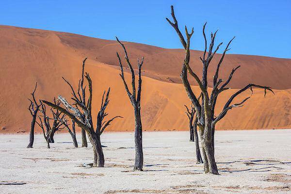 Deadvlei in Namibia mit abgestorbenen Bäumen und roten Dünen in der Namib Wüste