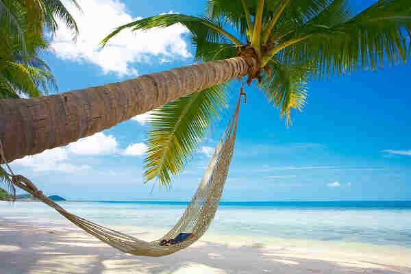 Hängematte zwischen zwei Palmen an einem hellen Sandstrand mit ruhigem Meer und blauem Himmel