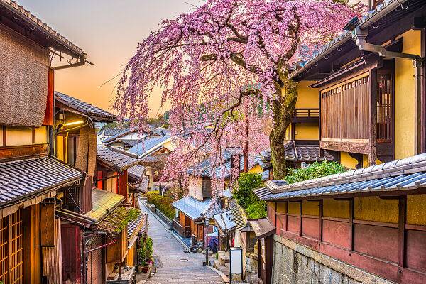 Japan Reisepaket mit traditioneller Altstadt zur Kirschblütenzeit