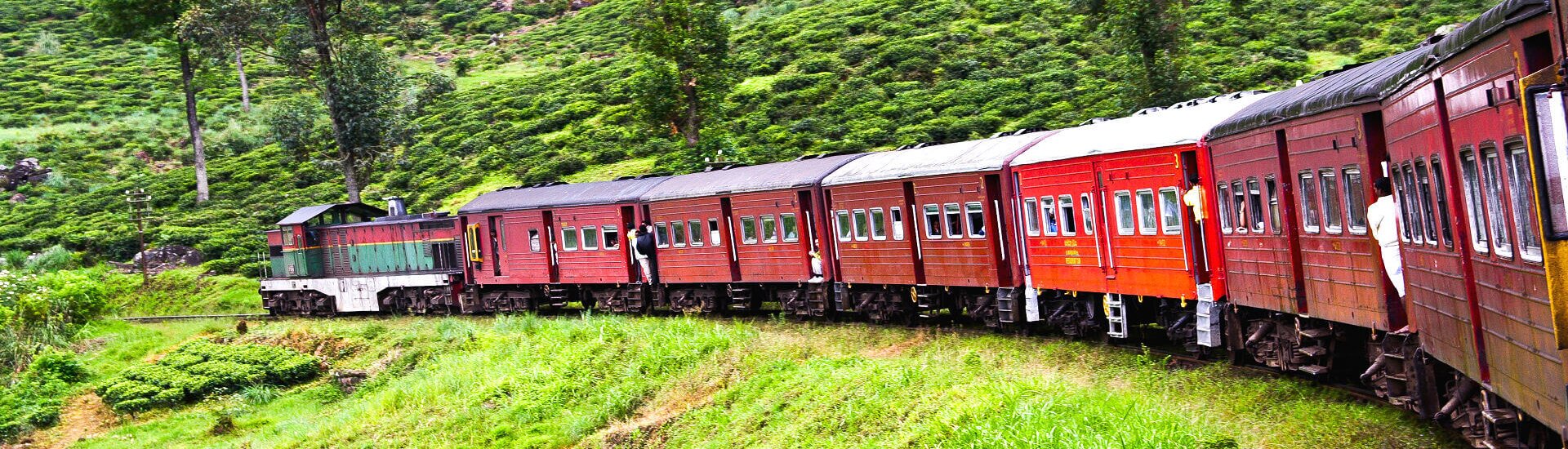 Sri Lanka Rundreisen die Perle im Indischen Ozean wartet auf Sie