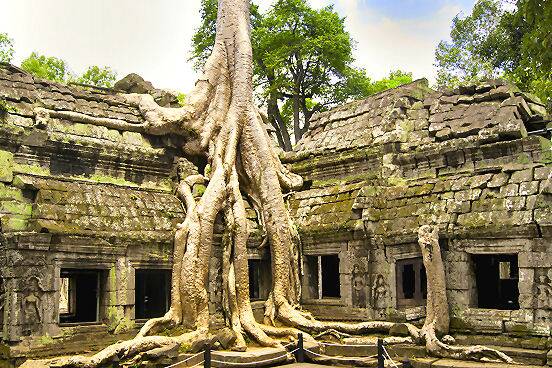 Gewaltige Baumwurzeln überwuchern die historischen Mauern des Ta Prohm Tempels im Angkor-Park bei Siem Reap in Kambodscha.