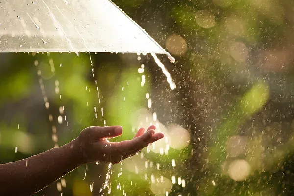 Eine Hand fängt unter einem Regenschirm fallenden Regen auf.