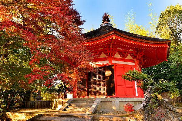 Traditioneller Tempel in Kyoto mit roten Ahornblättern im Herbst
