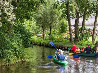 Kanufahrt durch die malerischen Wasserwege des Spreewalds in Brandenburg, Deutschland