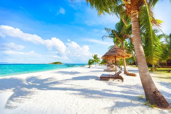 Palmenstrand mit Liegen und klarem Wasser in Asien bei sonnigem Himmel