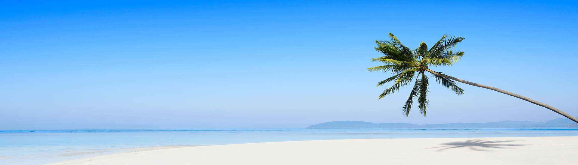 Tropischer Sandstrand mit türkisblauem Meer und Palme