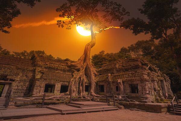 Der Ta Prohm Tempel im Angkor-Park in Kambodscha mit mächtigen Baumwurzeln und stimmungsvoller Abendsonne zwischen den historischen Ruinen.