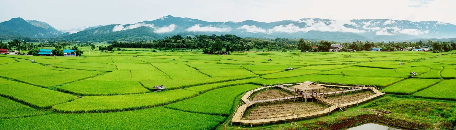 Reisfelder und Berglandschaft in Nordthailand bei Chiang Mai während der Trockenzeit