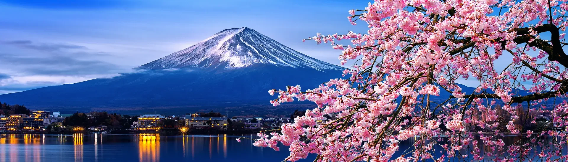Kombireise Japan mit Kirschblüte und Blick auf den Mount Fuji