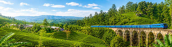 Zug auf der Nine Arches Bridge umgeben von grünen Teeplantagen im Hochland von Sri Lanka