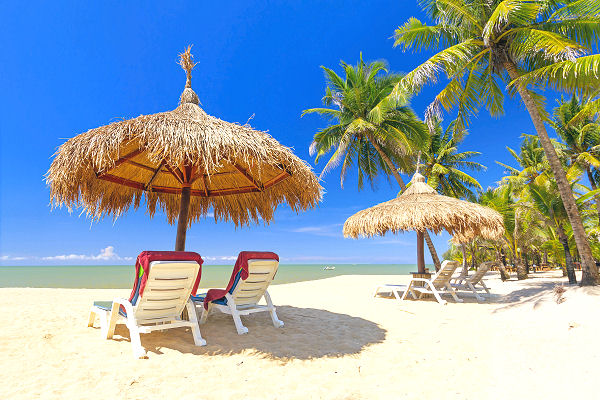 Sonnenliegen unter Strohdächern am Chaweng Beach auf Koh Samui mit Palmen und türkisfarbenem Meer