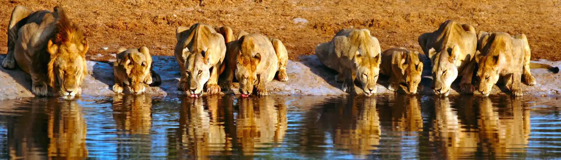 Afrika Reisen: Unvergessliche Abenteuer und Naturwunder mit AsiaGo erleben Erlebe mit AsiaGo die Schönheit Afrikas mit maßgeschneiderten Reisen