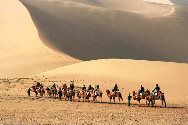 Kameltrekking in der Wüste Gobi