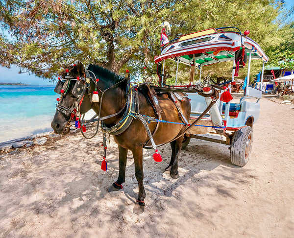Gili Meno Urlaub im Paradies, die Insel liegt zwischen Gili Trawangan und Gili Air und sind paradiesische Trauminseln von Indonesien