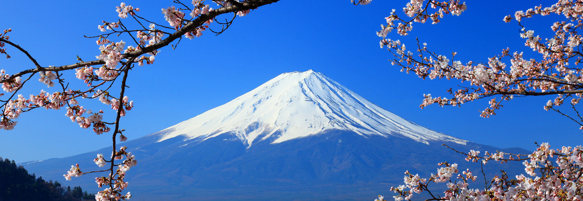Die Faszination von Japan mit AsiaGo erleben. Reisen durch das Land der aufgehenden Sonne