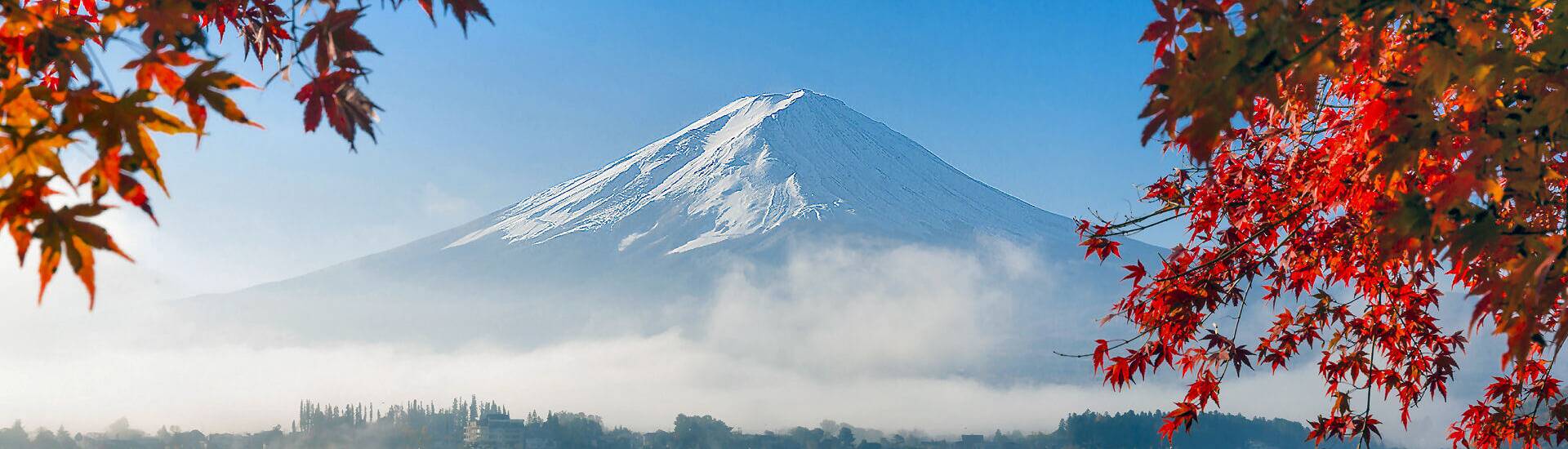 Frühlingslandschaft in Japan: Kirschblüten und der Fuji