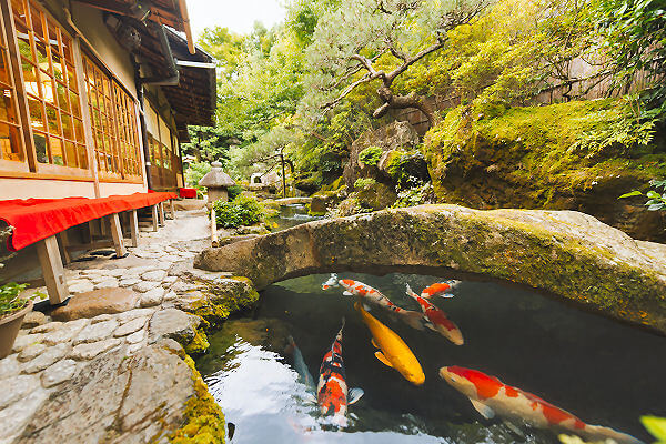Japan Rundreise: die Highlights Japans – eine einzigartige Reise voller spannender Erlebnisse