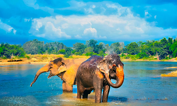 Nepal Rundreise: Der Chitwan Nationalpark ist einer der schönsten Wildparks Nepals und beherbergt eine Vielzahl exotischer Tiere und Pflanzen