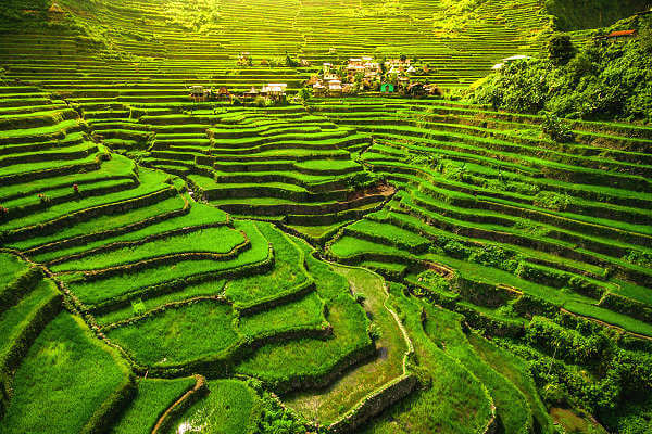 Die Reisterrassen von Banaue sind eine bedeutende Sehenswürdigkeit der Philippinen