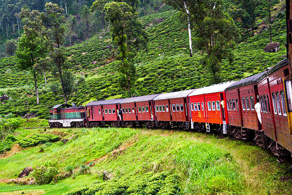 Sri Lanka Rundreise Auf unseren Sri Lanka Rundreisen erkunden Sie die faszinierenden Landschaften