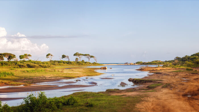 Der Yala-Nationalpark ist das bekannteste und älteste Naturschutzgebiet in Sri Lanka