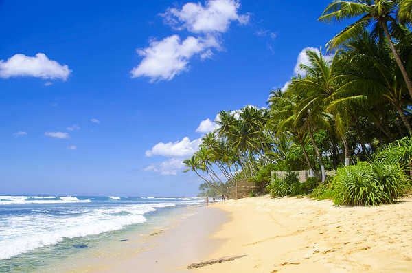 Dieser sehr lange Sandstrand gehört zu den schönsten Stränden in Sri Lanka
