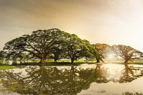 Tissa Wewa ist ein Stausee in Tissamaharama, eine besondere Sehenswürdigkeit ist die buddhistische Dagoba
