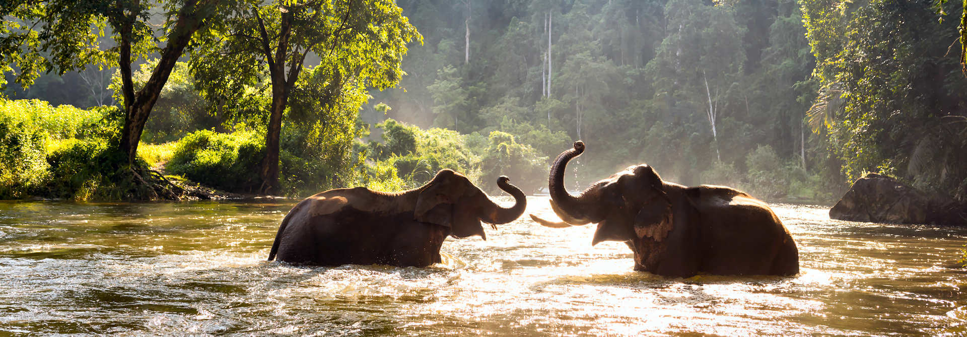 Chiang Rai – die beste Wahl für einen unvergesslichen Urlaub in Thailand
