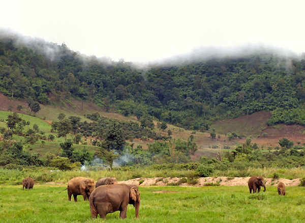 Der Chiang Mai Doi Inthanon National Park ist ein wahres Paradies für Naturliebhaber