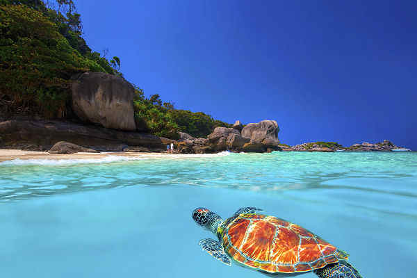 Khao Lak und die Similan Inseln sind das Paradies für Taucher und Schnorchler