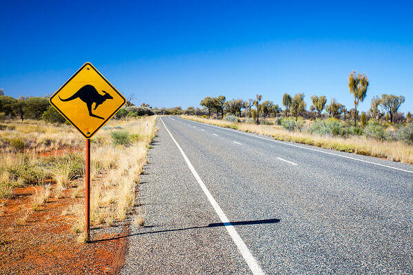 Australien Rundreise zu den Kängurus, entdecke die faszinierende Tier- und Pflanzenwelt Australiens