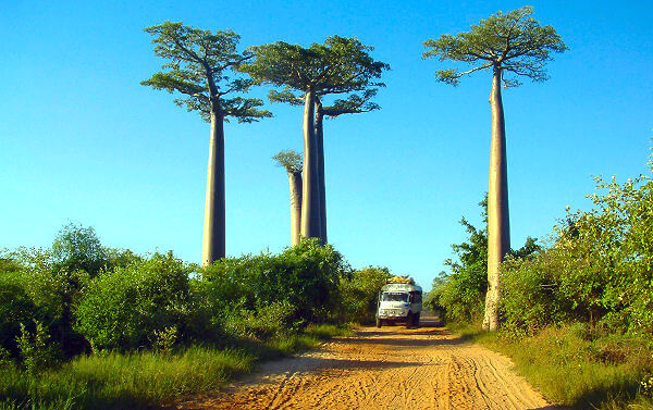 Madagaskar Urlaub ganz nach Ihren Wünschen Maßgeschneiderte Reisen ganz nach Ihren Wünschen