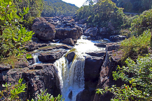Der Ranomafana Nationalpark ist der spektakulärste Nationalpark von Madagaskar