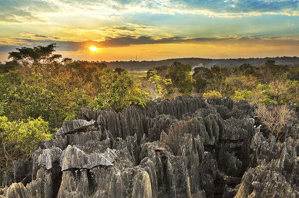 Tsingy ist eine beeindruckende Landschaft aus nadelspitzen Kalksteinformationen