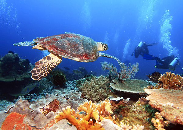 Seychellen Reise individuell zusammenstellen
