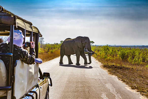Entdecke die Wunder Afrikas: Unvergessliche Fernreisen für Abenteurer und Entdecker